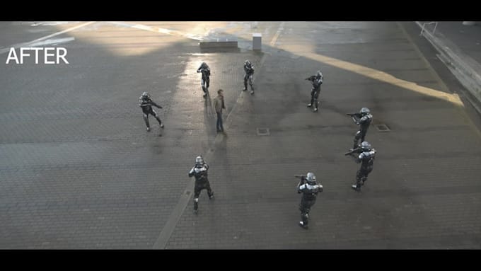 do proffesional vfx cleanup
