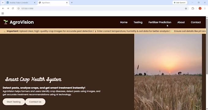 train ai models and build frontend and backend websites