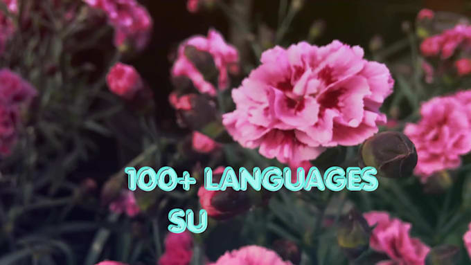 create subtitles, captions and srt files for videos