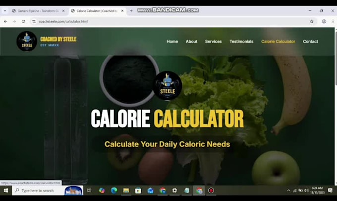 build python django flask website python django developer