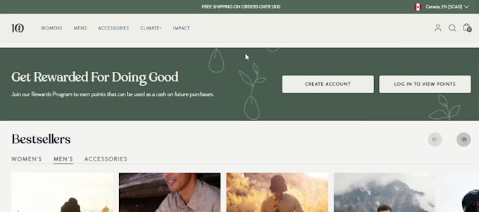 design a wordpress website for startup