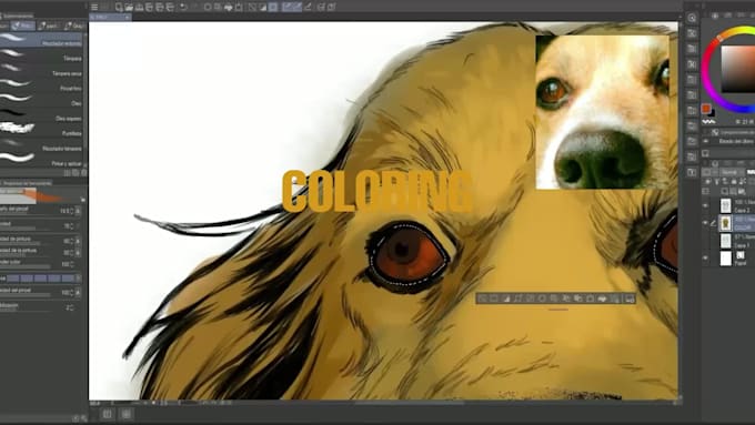 turn your pet into a vibrant work of art