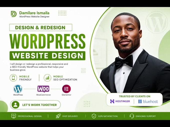 create a professional wordpress website design on hostinger or bluehost