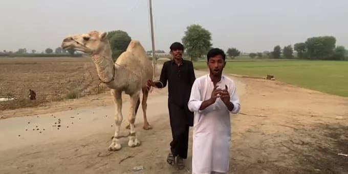 wish happy birthday video
