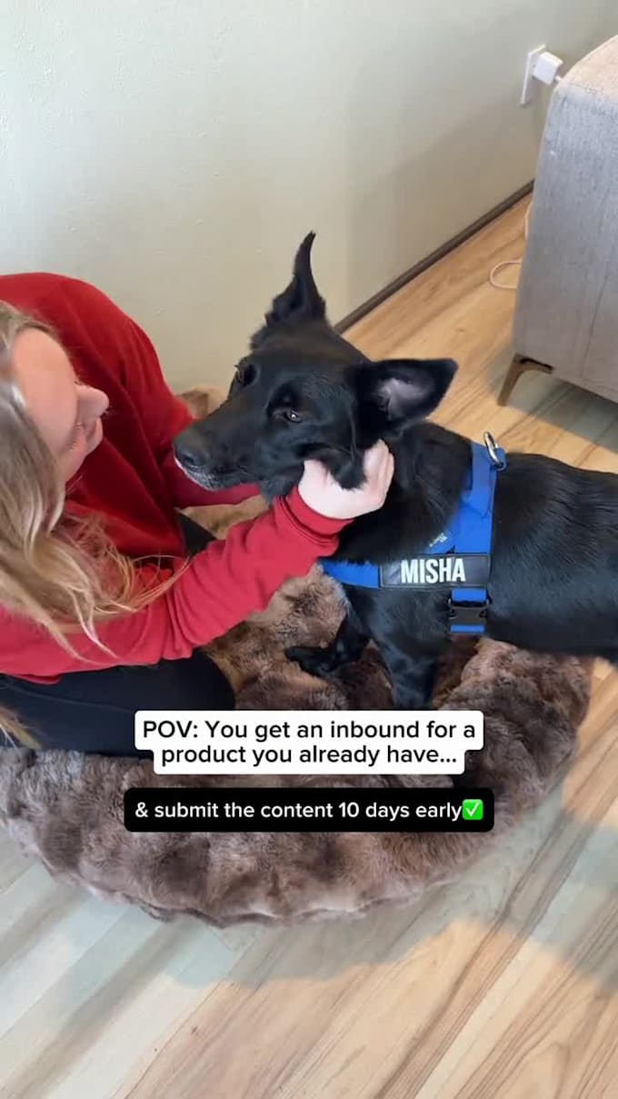 create pet ugc ads for your brand