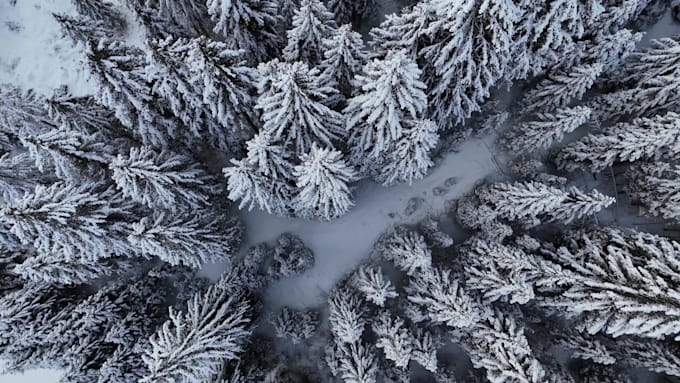 provide premium HD stock footage for content creators