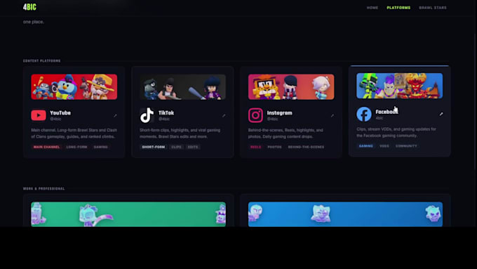 portfolio and normal website development