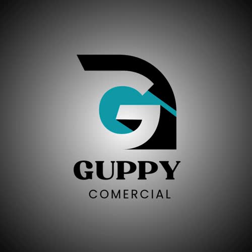 design a professional business brand identity