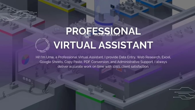 be your professional virtual assistant