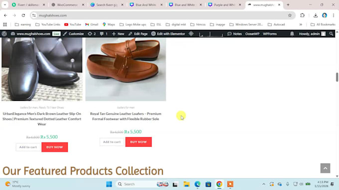 do wordpress woocommerce ecommerce website or online store
