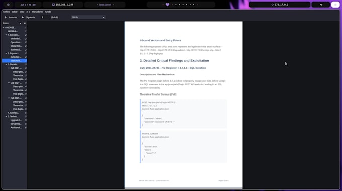 perform a professional manual web pentest and security audit