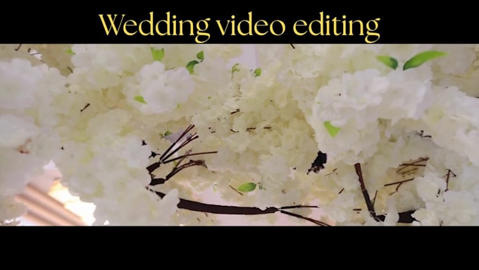 edit your wedding highlight video, teaser, and reels