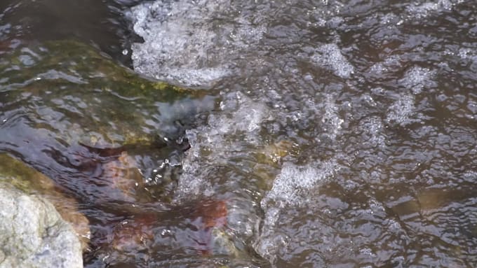 record field recordings for your project