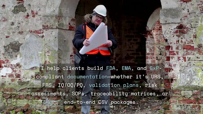 provide end to end CSV consultation