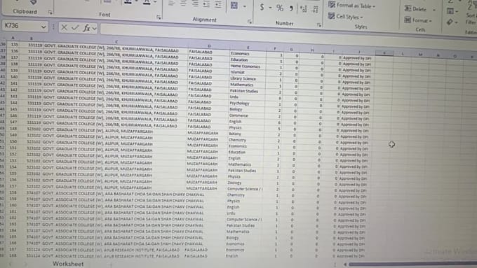 do professional data entry and excel services