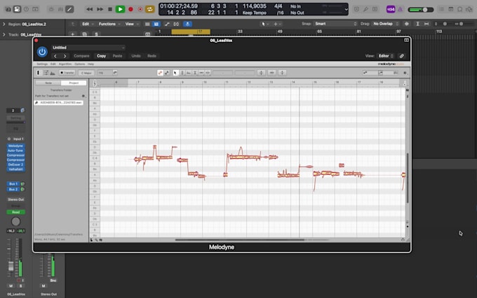 professionally tune, edit and mix your vocals
