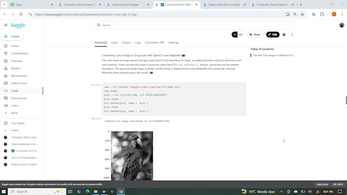 build yolo object detection model for your projects