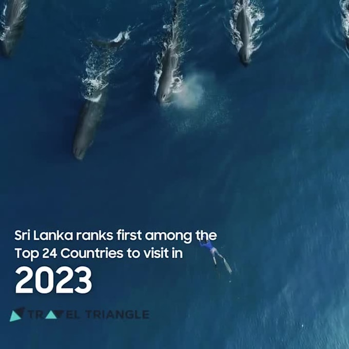 plan srilanka travel with a professional tour operator