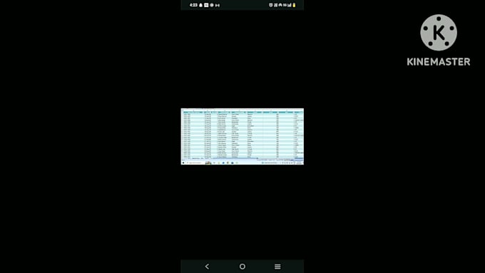 clean and format data professionally and clean messy data