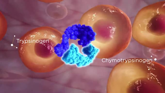 create 3d medical video oncology moa animation 3d pharmaceutical explainer video