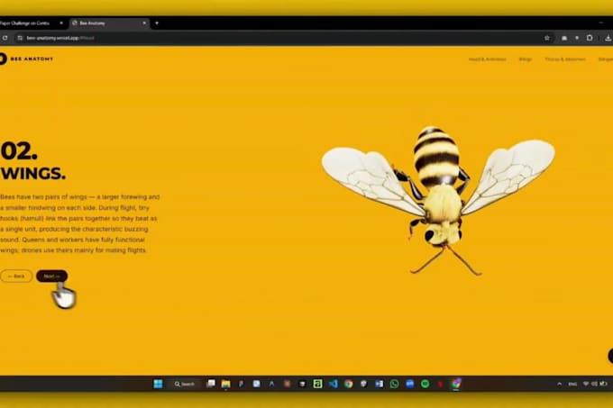 create 3d interactive wix studio 3d animated website with blender animation r3f