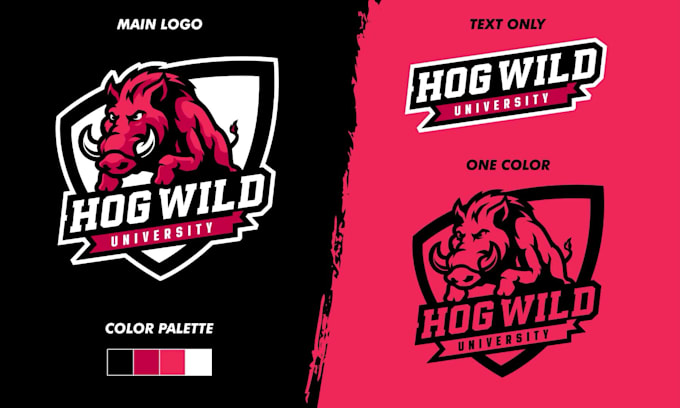 design mascot logo for school, college or sports team