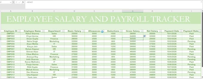 create professional excel spreadsheets and data entry