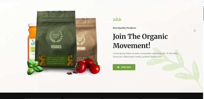 build professional ecommerce website or online store for startups and businesses