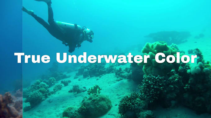 recover true underwater image colors