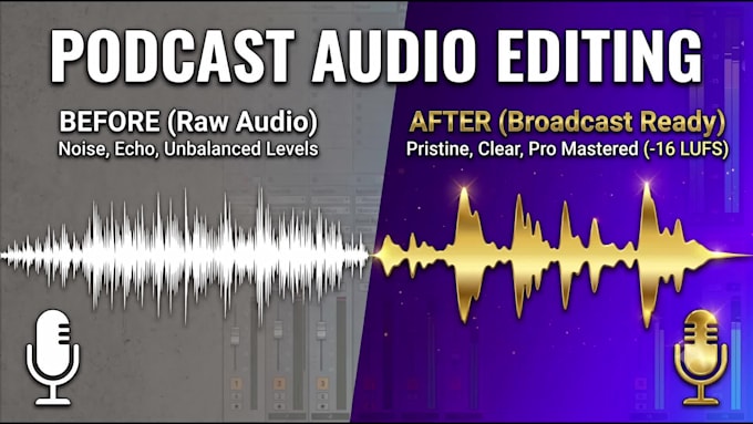 professionally clean, edit, and mix your podcast audio