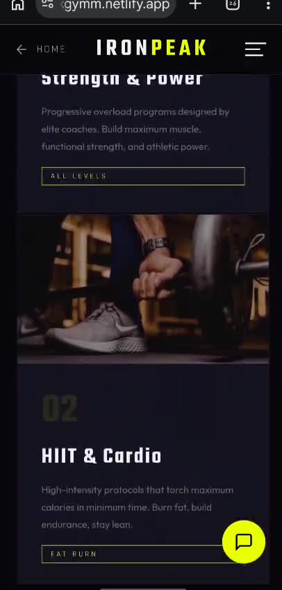 design a professional gym and fitness website