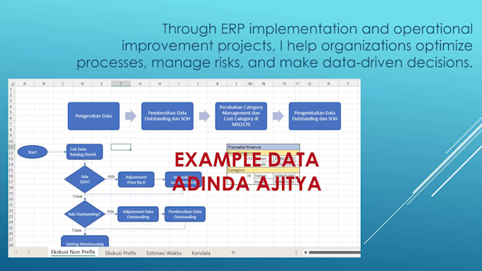 map and transform your excel data professionally