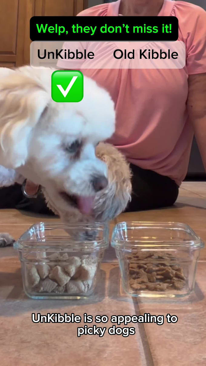 create engaging pet ugc videos with my dogs or cat