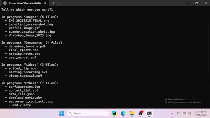 create an automatic file organizer for windows
