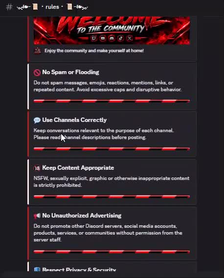 professionally setup discord community server in 24 hours