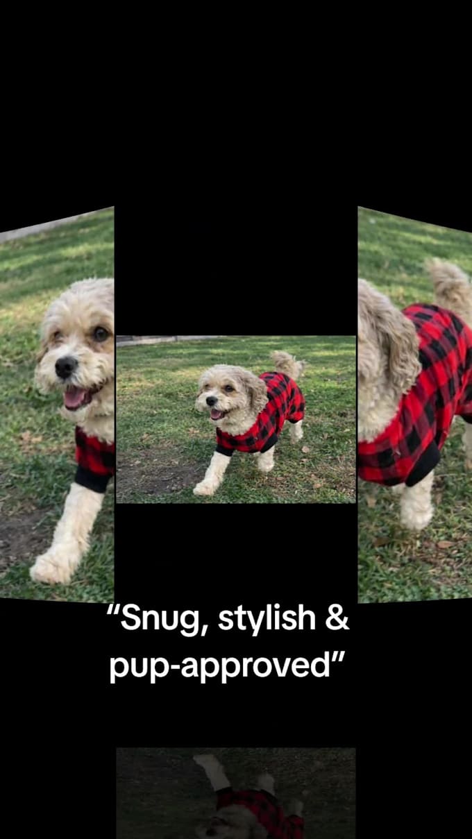 make cute and converting pet ugc content