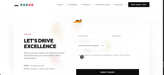 design a professional portfolio website