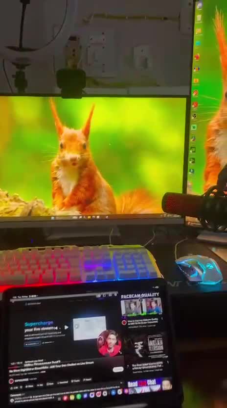 teach you obs studio for streaming and recording