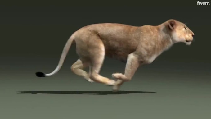 do professional 3d animal, animal with xgen