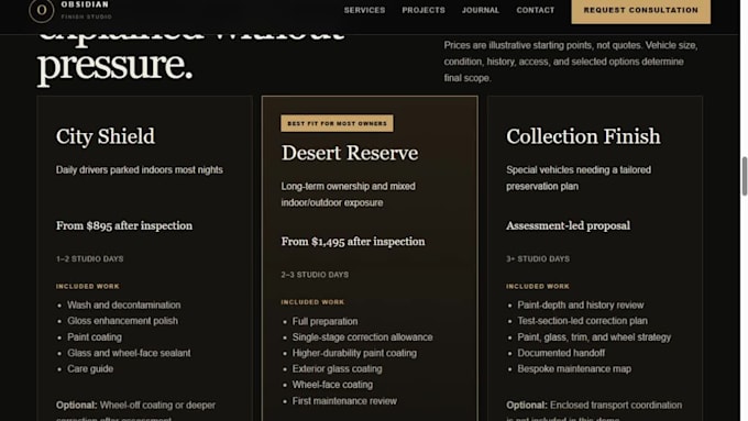design a professional auto detailing business website