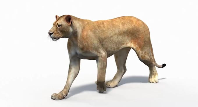 create realistic cgi animal animation vfx and compositing