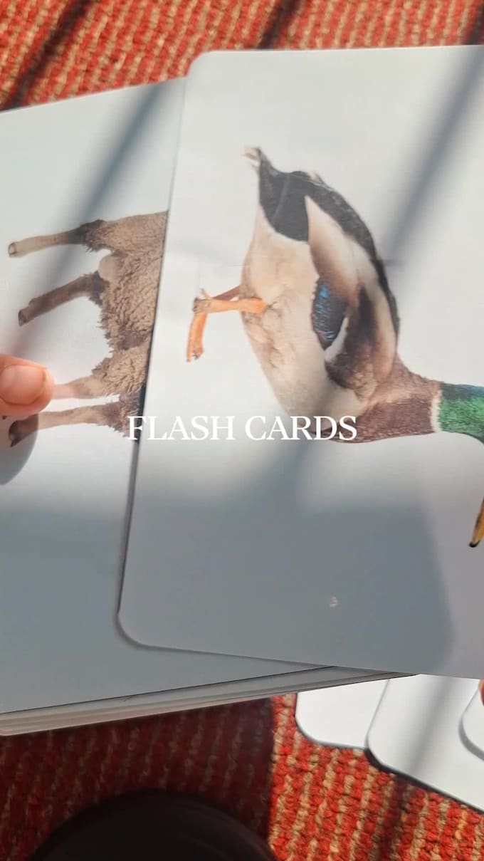 create custom printable flashcards for children, toddlers, and preschool
