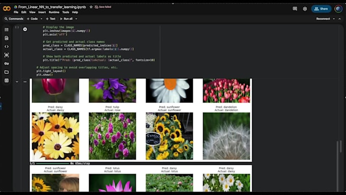 do proffesional object detection, classification, computer vision, opencv, yolo