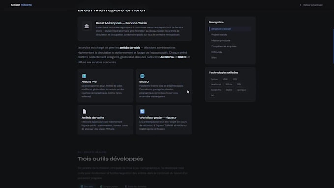 create a custom HTML CSS javascript website