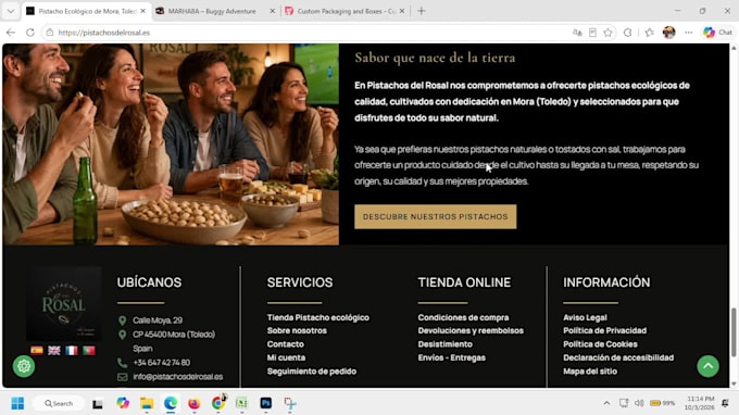 do professional wordpress website development and redesign