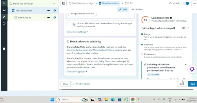 manage facebook ads professionally