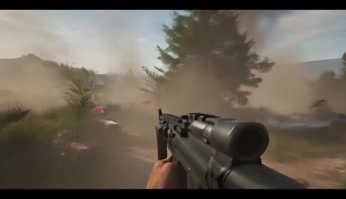 setup a custom dayz server for you
