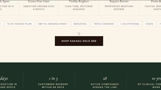 design, redesign shopify store, shopify dropshipping store or shopify website