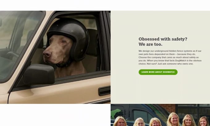 design a professional dog training website