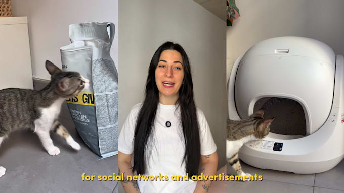 create cat ugc video ad for your social media in spanish